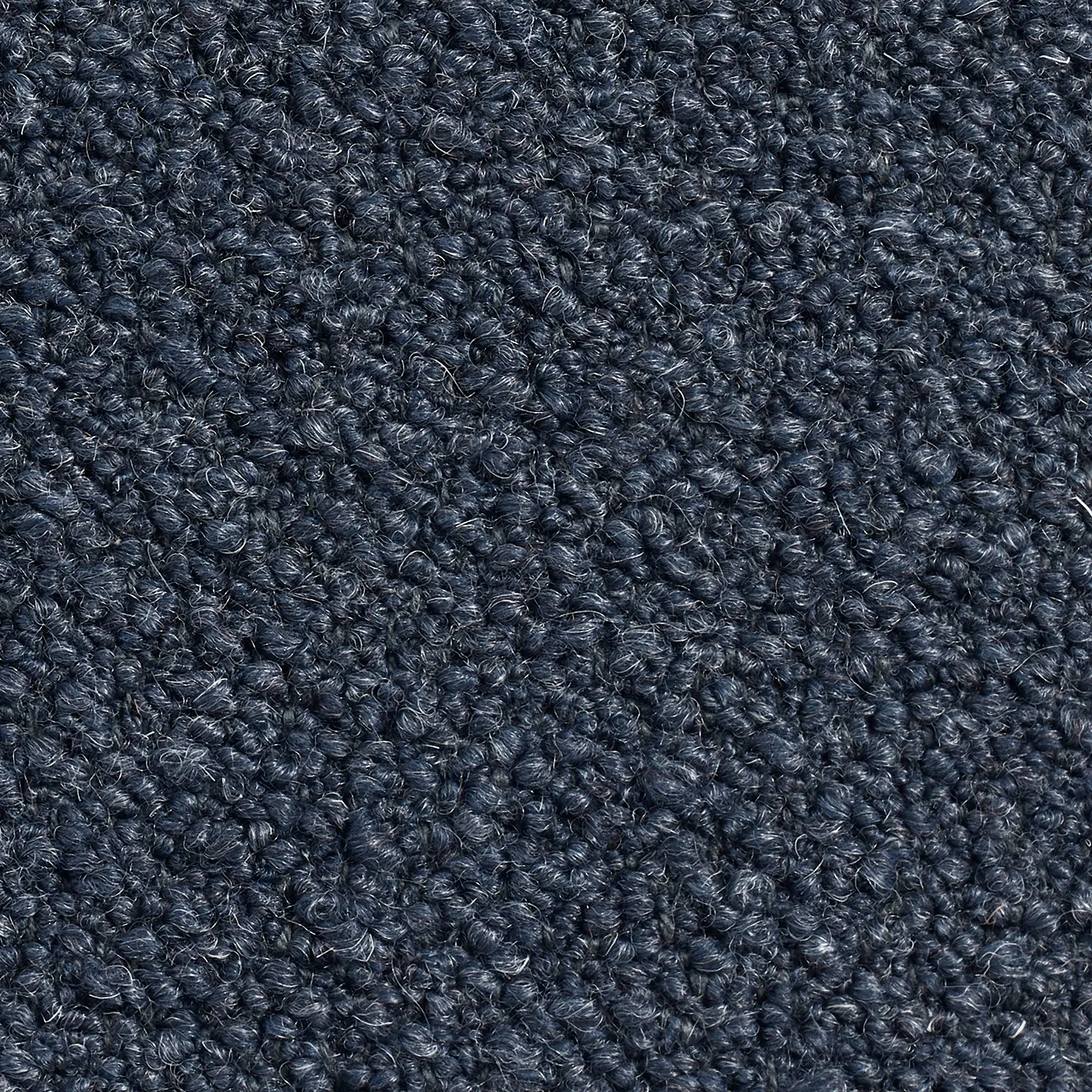 Elora Navy
