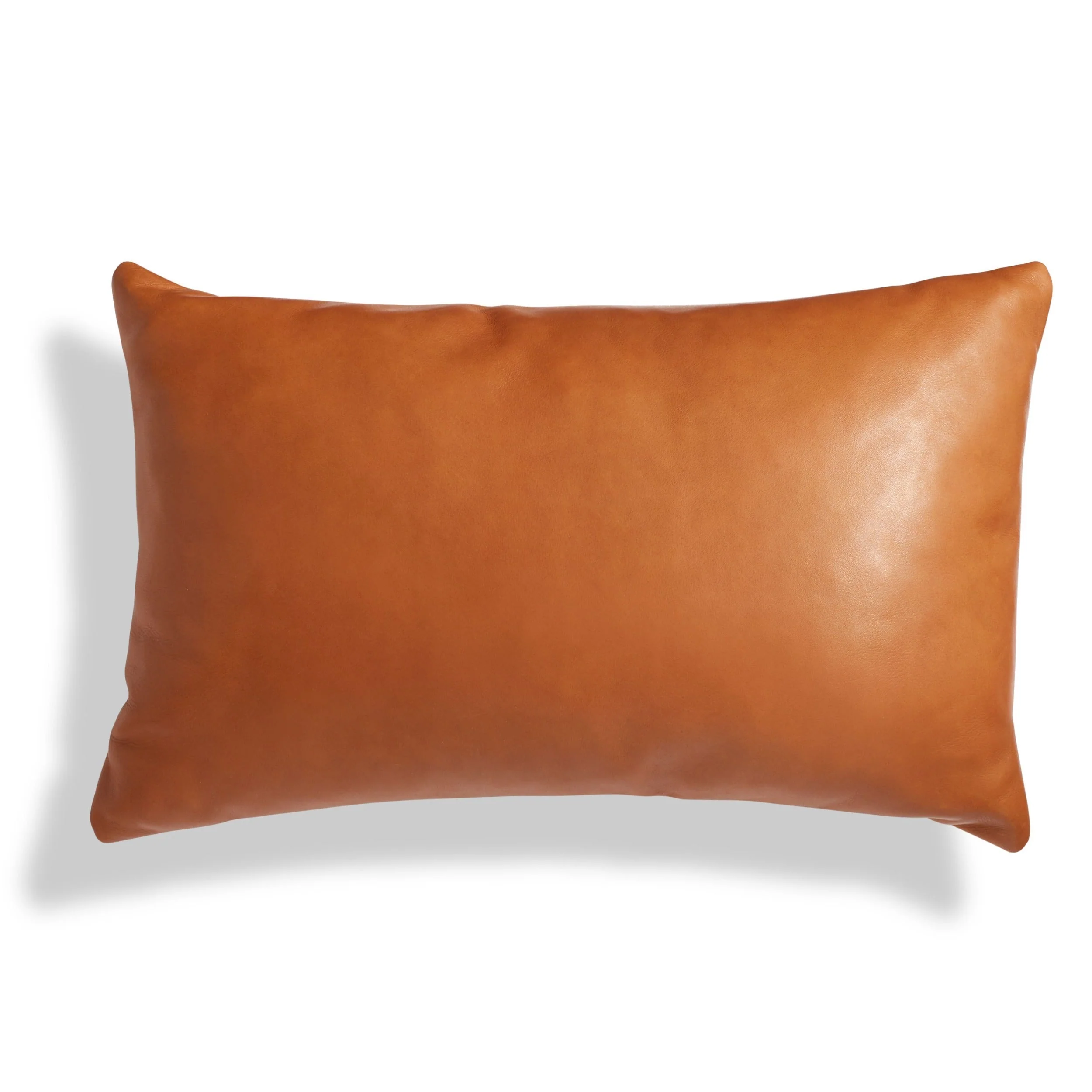 Signal 20" x 13" Lumbar Pillow - Image 12