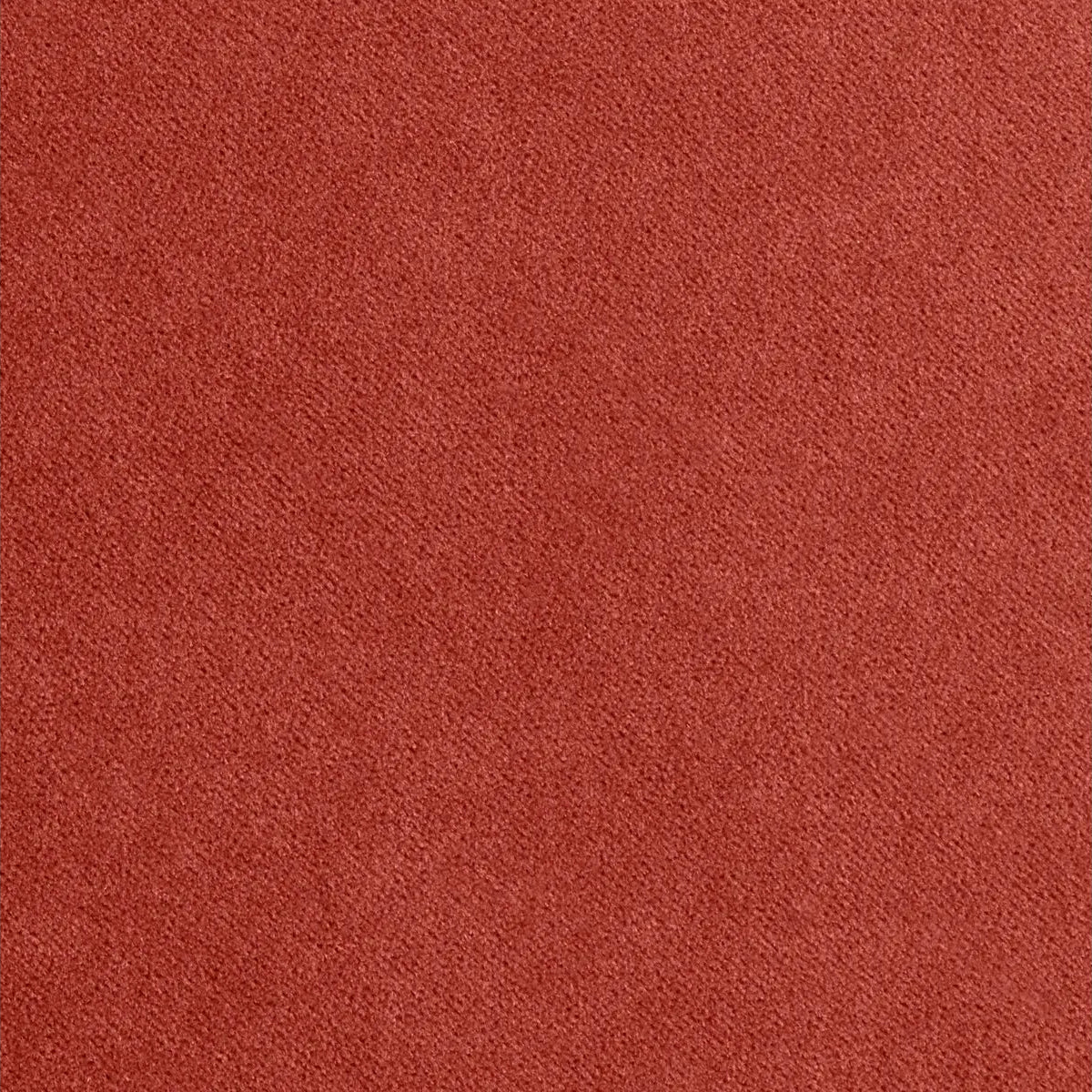 Tomato Velvet