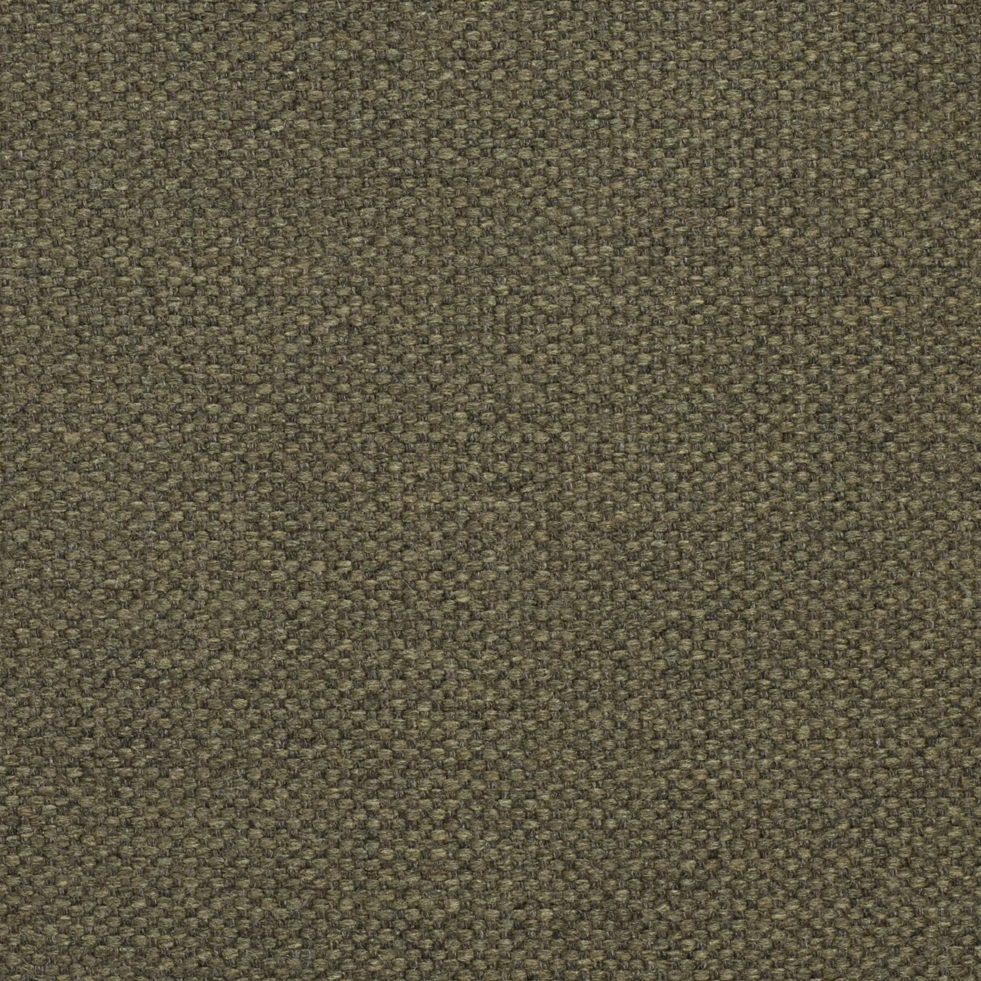 Toohey Olive